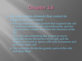    All cells contain elements that control its
    support and movement
     The cytoskeleton is the portion that supports the cell
      in it the microtubules, the microfilaments, and the
      glycoproteins connect to anchor the structure of the
      cell
     The Cilia use a brushing like motion to move
      materials across the surface of the cell, and the
      flagella are found in sperm cells only in humans and
      move the entire cell
     The centrioles divide the genetic parts of the cells
      and align them
 
