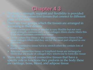    The body’s strength, support and flexibility is provided
    by the fibrous connective tissues that connect to different
    parts of the body
   There are four groups which the tissues are arranged in
    according to their density
       Loose connective tissue or areolar is very flexible but not very
        good strength, contains only a few collagen fibers elastic fibers this
        is the most common connective tissue
       Dense connective tissue is the strongest connective tissue it has
        more collagen fibers and they are for the most part aligned in one
        direction
       Elastic connective tissue have to stretch often the contain lots of
        elastic fibers
       Reticular connective tissue or lymphoid tissue are rectangular
        fibers that are made of collagen they intertwine to form this tissue
   There are specialized connective tissues that have a
    specific role in functions they preform in the body these
    are cartilage, bone, blood, and adipose tissue
 