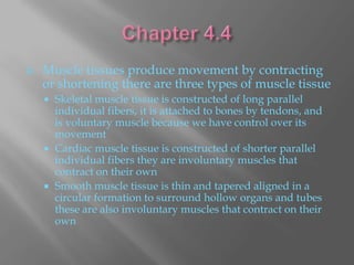    Muscle tissues produce movement by contracting
    or shortening there are three types of muscle tissue
     Skeletal muscle tissue is constructed of long parallel
      individual fibers, it is attached to bones by tendons, and
      is voluntary muscle because we have control over its
      movement
     Cardiac muscle tissue is constructed of shorter parallel
      individual fibers they are involuntary muscles that
      contract on their own
     Smooth muscle tissue is thin and tapered aligned in a
      circular formation to surround hollow organs and tubes
      these are also involuntary muscles that contract on their
      own
 