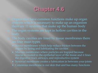    Organs that have common functions make up organ
    systems which is necessary to make up an organism
    there are 11 systems that make up the human body
   The organ systems are kept in hollow cavities in the
    body
   The body cavities are lined by tissue membranes there
    are four main types
       Serous membranes which help reduce friction between the
        organs by lining and lubricating the cavities
       Mucous membranes where particles are trapped because
        mucus is created in the epithelial layer of the tissue and it lines
        the digestive tract, airways, and reproductive system
       Synovial membrane creates a lubrication in between your joints
       Cutaneous membrane is our skin that and has many functions
 