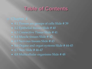    Chapter 4
     4.1 Tissues are groups of cells Slide # 39
     4.2 Epithelial tissues Slide # 40
     4.3 Connective Tissue Slide # 41
     4.4 Muscle tissues Slide # 42
     4.5 Nervous tissues Slide # 43
     4.6 Organs and organ systems Slide # 44-45
     4.7 Skin Slide # 46-47
     4.8 Multicellular organisms Slide # 48
 