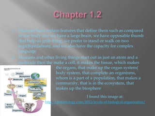    Humans have certain features that define them such as compared
    to our body size we have a large brain, we have opposable thumb
    that help us grab thing, we prefer to stand or walk on two
    legs(Bipedalism), and we also have the capacity for complex
    language
   Humans and other living things start out as just an atom and a
    molecule then the make a cell, it makes the tissue, which makes
                        the organs, that make up the organ system(
                        body system, that complete an organisms,
                        whom is a part of a population, that makes a
                        community, that is in the ecosystem, that
                        makes up the biosphere
                                           I found this image at:
                 http://deltabiology.com/2012/levels-of-biological-organization/
 