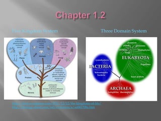 Five Kingdom System                                       Three Domain System




http://fitz6.wordpress.com/2011/12/12/the-kingdoms-of-life/
http://biology.about.com/od/evolution/a/aa041708a.htm
 