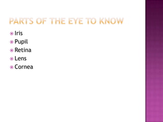  Iris
 Pupil
 Retina
 Lens
 Cornea
 