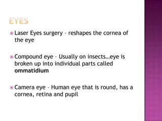 LaserEyes surgery – reshapes the cornea of
 the eye

 Compound  eye – Usually on insects…eye is
 broken up into individual parts called
 ommatidium

 Camera eye – Human eye that is round, has a
 cornea, retina and pupil
 