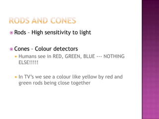  Rods   – High sensitivity to light

 Cones   – Colour detectors
    Humans see in RED, GREEN, BLUE --- NOTHING
     ELSE!!!!!

    In TV’s we see a colour like yellow by red and
     green rods being close together
 