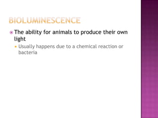  The ability for animals to produce their own
 light
    Usually happens due to a chemical reaction or
     bacteria
 
