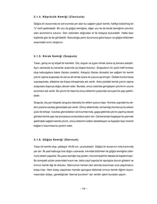 ANATOMİ hareket sistemi | PDF