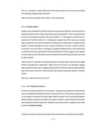 Görevi; omurganın lumbal bölümünü kendi tarafına eğmek ve ayrıca tutunmuş olduğu
son kaburgayı aşağıya doğru çekmektir.

İlgili siniri; plexus lumbalis'in bazı dalları ve N subcostalis'tir.




3.1.3. Diaphragma

Göğüs ve karın boşluklarını birbirlerinden ayıran kas yapılı bir bölmedir. Konkav tarafı karın
boşluğuna bakmak üzere, tabanı yukarıda yer alan bir yapı gösterir. İnsan vücudunda kalp-
ten sonra en çok çalışan kas budur. Ön ve yan tarafta 7.-11. kaburgaların iç yüzlerinden, ar-
kada ise ilk 3 lumbal vertebra ile 12. kaburgadan başlayan kas lifleri, yukarıya ve içeriye
doğru yükselerek, orta kısımda birleşirler. Bu birleşme yeri, oldukça düz ve sağlam bir yapı
gösterir. Tendinöz yapıdaki bu kısma "centrum tendineum" adı verilir. Centrum tendine-
um'da aort, vena cava inferior ve özofagus'un geçtikleri delikler bulunur. Aynı zamanda bu
kısımda bulunan bazı aralıklarından önemli bazı damar ve sinirler, göğüs ve karın boşluk-
ları arasında uzanırlar. Öte yandan centrum tendineum üzerinde kalp, sanki yatar durumda
bir ilişki içindedir.

Görevi; solunum hareketleri sırasında kaburgaların yukarıya doğru kaldırılması ile, göğüs
kafesinin genişlemesini sağlamaktır. Nefes verme durumunda, ise kaburgalar aşağıya
doğru çekilir ve böylece karın ve göğüs kafesi boşlukları birbirlerine göre daralıp küçülebilir.
Aşırı yemek yeme sonunda, midenin buraya baskı yaparak yükselme çabaları unutulma-
malıdır.

İlgili siniri; n.phrenicus (motor sinir) dir.



3.1.4. Sırt Bölümü Kaslar ı

Bu bölüm iki tabaka halindeki bir kas grubudur. Yüzeyel grup, özellikle üst ekstremitelere
uzanır ve ekstremite hareketleri ile solunum işine yardımcı olur. Derin grubu oluşturan kas-
lar ise, gerçek sırt kaslarıdır ve küçük kaslar halide omurganın her iki yanındaki boşlukları
doldurmuşlardır (autocton sırt kasları). Bu küçük sırt kasları, ardarda birbirlerini tamamla-
yan fonksiyonel zincirler oluştururlar. Gövdenin dik olarak durmasını sağlayan esas kaslar
bunladır (m.erector spinae).




Yüzeyel sırt kasları da durumlarına göre kendi içerisinde üç ana bölümde ele alınabilir:


                                                - 77 -
 