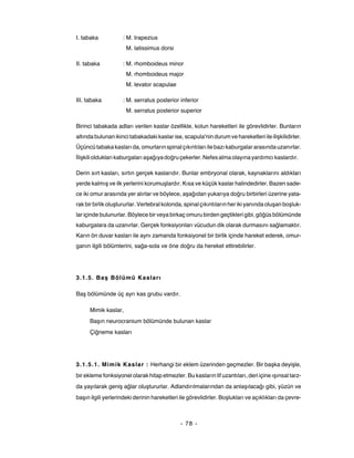 I. tabaka           : M. trapezius
                      M. latissimus dorsi

II. tabaka          : M. rhomboideus minor
                      M. rhomboideus major
                      M. levator scapulae

III. tabaka         : M. serratus posterior inferior
                      M. serratus posterior superior

Birinci tabakada adları verilen kaslar özellikle, kolun hareketleri ile görevlidirler. Bunların
altında bulunan ikinci tabakadaki kaslar ise, scapula'nin durum ve hareketleri ile ilişkilidirler.
Üçüncü tabaka kasları da, omurların spinal çıkıntıları ile bazı kaburgalar arasında uzanırlar.
İlişkili oldukları kaburgaları aşağıya doğru çekerler. Nefes alma olayına yardımcı kaslardır.

Derin sırt kasları, sırtın gerçek kaslarıdır. Bunlar embryonal olarak, kaynaklarını aldıkları
yerde kalmış ve ilk yerlerini korumuşlardır. Kısa ve küçük kaslar halindedirler. Bazen sade-
ce iki omur arasında yer alırlar ve böylece, aşağıdan yukarıya doğru birbirleri üzerine yata-
rak bir birlik oluştururlar. Vertebral kolonda, spinal çıkıntıların her iki yanında oluşan boşluk-
lar içinde bulunurlar. Böylece bir veya birkaç omuru birden geçtikleri gibi, göğüs bölümünde
kaburgalara da uzanırlar. Gerçek fonksiyonları vücudun dik olarak durmasını sağlamaktır.
Karın ön duvar kasları ile aynı zamanda fonksiyonel bir birlik içinde hareket ederek, omur-
ganın ilgili bölümlerini, sağa-sola ve öne doğru da hereket ettirebilirler.




3.1.5. Ba ş Bölümü Kasları

Baş bölümünde üç ayrı kas grubu vardır.

      Mimik kaslar,
      Başın neurocranium bölümünde bulunan kaslar
      Çiğneme kasları




3.1.5.1. Mimik Kaslar : Herhangi bir eklem üzerinden geçmezler. Bir başka deyişle,
bir ekleme fonksiyonel olarak hitap etmezler. Bu kasların lif uzantıları, deri içine ışınsal tarz-
da yayılarak geniş ağlar oluştururlar. Adlandırılmalarından da anlaşılacağı gibi, yüzün ve
başın ilgili yerlerindeki derinin hareketleri ile görevlidirler. Boşlukları ve açıklıkları da çevre-



                                              - 78 -
 
