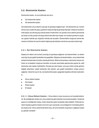 3.2. Ekstremite Kasları

Ekstremite kasları, iki ana bölümde ele alınır.

■      Üst ekstremite kasları
■      Alt ekstremite kasları

Üst ekstremite omuz eklemi aracılığı ile gövdeye bağlanmıştır. Alt ekstremite ise, hemen
hemen aynı anatomik yapıyı gösteren kalça kemiği ile gövdeye ilişmiştir. Dolayısı ile ekstre-
mite kasları adı altında grup olarak kaslar incelenirken, bir yandan omuz eklemi çevresinde
yer bulan ve öte yandan da kalça ekleminde etkili olan kaslar, bir hareket çemberini oluştu-
ran yapılar halinde ayrı başlıklar halinde ele alınabilir. Ekstremiteleri oluşturan kemik ele-
manların birbirleri ile nasıl bir eklem ilişkisi içinde oldukları kemik konusunda incelenmişti.




3.2.1. Üst Ekstremite Kaslar ı

Sadece bir eklem (art.humeri) aracılığı ile gövdeye bağlanan üst ekstremiteler, bu eklem
aracılığı ile çok çeşitli hareketleri de yapabililer. Böylece üst ekstremiteler, omuz ekleminde
serbest hareket eden bir bütün olarak görülürler. Bütünü tamamlayıcı elemanlar olarak; kol,
önkol ve el iskeletini oluşturan kemikler ve bunlar arasındaki apenevrotik yapılar ile, aktif
elemanlar olan kasları belirtebiliriz. Burada yer alan kaslar, yine aynı bütün içinde görülen
değişik eklemlere, çeşitli yönlerden etki ederek, çok çeşitli hareketlerin ortaya çıkışını
sağlarlar. Genel bir ayırım ile, üst ekstremite kasları aşağıdaki başlıklar altında incelenebi-
lir.

■      Omuz eklemi kasları
■      Kol kasları
■      Önkol kasları
■      El kasları




3.2.1.1. Omuz Eklemi Kaslar ı : Omuz eklemi, insan vücudunun en hareketli eklemi-
dir. Bu özelliğinden dolayı kol, omuz eklemine göre istenilen konumda tutulabilir. Anatomik
yapısının özelliğinden dolayı, bütün eksenlere göre hareketler elde edilebilir. Eklemde ha-
reket meydana getiren kasların bir kısmı aynı zamanda, omuz bölgesinin morfolojik şeklini-
de oluştururlar. Omuz ekleminde tesirli olup, altı ana hareketin oluşmasını sağlayan kaslar
şu şekilde verilebilir :



                                             - 81 -
 