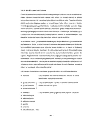 3.2.2. Alt Ekstremite Kaslar ı

Önemli eklemler aracılığı ile birbirleri ile fonksiyonel ilişki içinde bulunan alt ekstremite ke-
mikleri, uyluktan itibaren bir bütün halinde kalça eklemi (art. coxae) aracılığı ile pelvise
asılmış durumdadırlar. Bu yapı içinde kalça eklemi önemli bir yer tutar. Pelvis kemiklerinin
değişik yerlerinden başlayan sağlam ve kuvvetli kaslar, kalça eklemi eksenlerini değişik
yönlerde çaprazlayarak uyluk kemiklerine veya bacak kemiklerine kadar uzanırlar. Kalça
eklemi fonksiyonu üzerinde önemli etkisi bulunan kaslar içinde, bel bölümünün omurları-
ndan başlayarak aşağılara kadar uzanan kaslar da vardır. Esas itibariyle, yürüme ve boşluk
içinde durumu koruma gibi önemli görevler yüklenmiş bulunan alt ekstremite kasları, yapı
olarak üst ekstremite kaslarından daha fazla gelişmiş olarak görülürler.

Alt ekstremite kasları içinde incelenebilecek ilk grup, kalça eklemine doğrudan etki eden
büyük kaslardır. Bunlar, birbirleri üzerine düzenlenerek, kalça eklemini kapatırlar. Kalça ek-
lemi, morfolojisi bakımından omuz eklemine benzer. Ancak, ayrı ve önemli bir fonksiyon
olarak, yürüme ve vücudun stabilitesini de yüklendiği unutulmamalıdır. Bilindiği gibi kalça
ekleminde, üç ana eksende temel hareketler ile, bu hareketlerin kombine şekilleri de
sağlanır. Kalça ekleminde hareketlerin oluşumunu sağlayan ve doğrudan bu ekleme hita-
beden kaslar kısa ve kuvvetli bir yapıya sahiptirler. Başlangıç ve bitiş yerlerine göre sadece
tek bir ekleme ait kaslardır. Halbuki yine bu bölgeden başlayıp (pelvis'den) oldukça uzun bir
yol geçerek devam eden ve iki ekleme birden etki eden kaslar da vardır. Böylece, hem kalça
eklemi ve hem de diz ekleminde etkin olurlar.

Kalça eklemi üzerinde etkili olan kaslar şu şekilde topluca ve özet olarak verilebilir :

M. iliopsoas               : Kalça eklemine etki eden ve bel bölümü omurları ile pelvis
                                bölümünden başlayan kuvvetli kas.

M. glutaeus maximus        : Kalça eklemini dıştan kapatan ve birbirleri üzerine tanzim
M. glutaeus medius              edilmiş bulunan kas grubu.
M. glutaeus minimus

M. pectineus               : Kalça eklemine göre uyluğa adduction yaptıran kas grubu.
M. adductor longus
M. adductor brevis
M. adductor magnus
M. gracilis
M. piriformis
M. obturatorius (ext. - int.)


                                              - 84 -
 