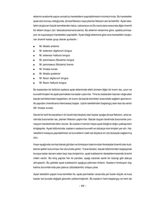eklemin anatomik yapısı ancak bu hareketlerin yapılabilmesini mümkün kılar. Bu hareketler
ayak söz konusu olduğunda, dorsal fleksion veya plantar fleksion adı ile belirtilir. Ayak iske-
letini oluşturan büyük kemiklerden talus, calcaneus ve Os naviculare arasında diğer önemli
bir eklem oluşur (art. talocalcaneonavicularis). Bu eklemin eksenine göre, ayakta pronas-
yon ve supinasyon hareketleri yapılabilir. Ayak bileği eklemine göre ana hareketleri oluştu-
ran önemli kaslar grup olarak şunlardır :

■       M. tibialis anterior
■       M. extensor digitorum longus
■       M. extensor hallucis longus
■       M. peronaeus (fibularis) longus
■       M. peronaeus (fibularis) brevis
■       M. triceps surae
■       M. tibialis posterior
■       M. flexor digitorum longus
■       M. flexor hallucis longus

Bu kaslardan bir bölümü sadece ayak ekleminde etkili olurken diğer bir kısmı ise, uzun ve
kuvvetli kirişleri ile ayak parmaklarına kadar uzanırlar. Yine bu kaslardan bazıları doğrudan
bacak kemiklerinden başlarken, bir kısmı da bacak kemikleri arasındaki sağlam aponevro-
tik yapıdan (membrana interossea) başlar. Uyluk iskeletinden başlangıç alan kas da vardır
(M. triceps surae).

Genel bir tarif ile bacakların ön tarafında lokalize olan kaslar ayağa dorsal fleksion, arka ta-
rafında bulunanlar ise, planter fleksion yaptırırlar. Bacak dışyan tarafında bulunanlar pro-
nasyon hareketinde etkin olurlar. Bu kasların hemen hepsi ayak bileğine doğru yaklaşırken
kirişleşirler. Ayak bölümünde, kasların sadece kuvvetli ve oldukça ince kirişleri yer alır. Ha-
reketlerin kolayca yapılabilmesi ve kuvvetlerin nakli ise böylece en üst düzeyde sağlanmış
olur.

İnsan ayağında normal olarak görülen ve fonksiyon bakımından fevkalade önemli olan kub-
bemsi şeklin korunması her durumda şarttır. Yukarılardan, bacak bölümünden başlayarak
buraya kadar devam eden bazı kas kirişlerinin, ayak kubbesinin desteklenmesinde önemli
rolleri vardır. Bu kiriş yapılar her iki yandan, ayağı sararak sanki bir özengi gibi askıya
almışlardır. Bu şekilde ayak kubbesinin aşağıya çökmesi önlenir. Kasların fonksiyon dışı
kalma durumlarında pes planus (düztabanlık) ortaya çıkar.

Ayak iskeletini yapan kısa kemikler ile, ayak parmakları arasında yer bulan küçük ve kısa
kaslar ise burada değişik görevler yüklenmişlerdir. Bu kasların hem başlangıç ve hem de

                                            - 86 -
 