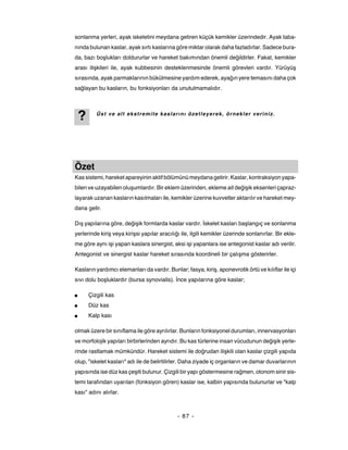 sonlanma yerleri, ayak iskeletini meydana getiren küçük kemikler üzerindedir. Ayak taba-
nında bulunan kaslar, ayak sırtı kaslarına göre miktar olarak daha fazladırlar. Sadece bura-
da, bazı boşlukları doldururlar ve hareket bakımından önemli değildirler. Fakat, kemikler
arası ilişkileri ile, ayak kubbesinin desteklenmesinde önemli görevleri vardır. Yürüyüş
sırasında, ayak parmaklarının bükülmesine yardım ederek, ayağın yere temasını daha çok
sağlayan bu kasların, bu fonksiyonları da unutulmamalıdır.




    ?      Üst ve alt ekstremite kaslarını özetleyerek, örnekler veriniz.




Özet
Kas sistemi, hareket apareyinin aktif bölümünü meydana getirir. Kaslar, kontraksiyon yapa-
bilen ve uzayabilen oluşumlardır. Bir eklem üzerinden, ekleme ait değişik eksenleri çapraz-
layarak uzanan kasların kasılmaları ile, kemikler üzerine kuvvetler aktarılır ve hareket mey-
dana gelir.

Dış yapılarına göre, değişik formlarda kaslar vardır. İskelet kasları başlangıç ve sonlanma
yerlerinde kiriş veya kirişsi yapılar aracılığı ile, ilgili kemikler üzerinde sonlanırlar. Bir ekle-
me göre aynı işi yapan kaslara sinergist, aksi işi yapanlara ise antegonist kaslar adı verilir.
Antegonist ve sinergist kaslar hareket sırasında koordineli bir çalışma gösterirler.

Kasların yardımcı elemanları da vardır. Bunlar; fasya, kiriş, aponevrotik örtü ve kılıflar ile içi
sıvı dolu boşluklardır (bursa synovialis). İnce yapılarına göre kaslar;

■       Çizgili kas
■       Düz kas
■       Kalp kası

olmak üzere bir sınıflama ile göre ayrılırlar. Bunların fonksiyonel durumları, innervasyonları
ve morfolojik yapıları birbirlerinden ayrıdır. Bu kas türlerine insan vücudunun değişik yerle-
rinde rastlamak mümkündür. Hareket sistemi ile doğrudan ilişkili olan kaslar çizgili yapıda
olup, "iskelet kasları" adı ile de belirtilirler. Daha ziyade iç organların ve damar duvarlarının
yapısında ise düz kas çeşiti bulunur. Çizgili bir yapı göstermesine rağmen, otonom sinir sis-
temi tarafından uyarılan (fonksiyon gören) kaslar ise, kalbin yapısında bulunurlar ve "kalp
kası" adını alırlar.



                                              - 87 -
 