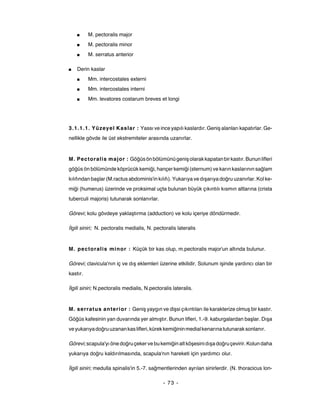 ■     M. pectoralis major
    ■     M. pectoralis minor
    ■     M. serratus anterior

■   Derin kaslar
    ■     Mm. intercostales externi
    ■     Mm. intercostales interni
    ■     Mm. levatores costarum breves et longi




3.1.1.1. Yüzeyel Kaslar : Yassı ve ince yapılı kaslardır. Geniş alanları kapatırlar. Ge-
nellikle gövde ile üst ekstremiteler arasında uzanırlar.



M. Pectoralis major : Göğüs ön bölümünü geniş olarak kapatan bir kastır. Bunun lifleri
göğüs ön bölümünde köprücük kemiği, hançer kemiği (sternum) ve karın kaslarının sağlam
kılıfından başlar (M.ractus abdominis'in kılıfı). Yukarıya ve dışarıya doğru uzanırlar. Kol ke-
miği (humerus) üzerinde ve proksimal uçta bulunan büyük çıkıntılı kısmın altlarına (crista
tuberculi majoris) tutunarak sonlanırlar.

Görevi; kolu gövdeye yaklaştırma (adduction) ve kolu içeriye döndürmedir.

İlgili siniri; N. pectoralis medialis, N. pectoralis lateralis


M. pectoralis minor : Küçük bir kas olup, m.pectoralis major'un altında bulunur.

Görevi; clavicula'nın iç ve dış eklemleri üzerine etkilidir. Solunum işinde yardıncı olan bir
kastır.

İlgili siniri; N.pectoralis medialis, N.pectoralis lateralis.


M. serratus anterior : Geniş yaygın ve dişsi çıkıntıları ile karakterize olmuş bir kastır.
Göğüs kafesinin yan duvarında yer almıştır. Bunun lifleri, 1.-9. kaburgalardan başlar. Dışa
ve yukarıya doğru uzanan kas lifleri, kürek kemiğinin medial kenarına tutunarak sonlanır.

Görevi; scapula'yı öne doğru çeker ve bu kemiğin alt köşesini dışa doğru çevirir. Kolun daha
yukarıya doğru kaldırılmasında, scapula'nın hareketi için yardımcı olur.

İlgili siniri; medulla spinalis'in 5.-7. sağmentlerinden ayrılan sinirlerdir. (N. thoracicus lon-

                                              - 73 -
 