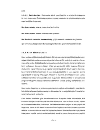 gus).

3.1.1.2. Derin kaslar : Derin kaslar, küçük yapı gösterirler ve birbirleri ile fonksiyonel
bir zincir oluştururlar. Özellikle kaburgaların (costae) hareketleri ile ilgilidirler ve kaburgalar
arası boşlukları doldururlar.


Mm. intercostales externi, nefes almada görevlidir.


Mm. intercostales interni, nefes vermede görevlidir.


Mm. levatores costarum breves et longi, göğüs kafesinin hareketleri ile görevlidir.

İlgili siniri; medulla sipinalis'in thoracal segmentlerinden gelen interkostal sinirlerdir.




3.1.2. Kar ın Bölümü Kasları

Karın boşluğu, göğüs boşluğu gibi değildir. Çünkü, yapısı içerisinde göğüs boşluğunu çev-
releyen iskelet elemanlarına benzer oluşumlar bulunmaz. Bu nedenle, iç organların korun-
ması daha zordur. Göğüs boşluğunun duvarlarını oluşturan iskelet elemanlarına karşılık,
karın boşluğunun duvarlarını kaslar, kirişler ve aponevrotik örtüler oluşturur. Duvarları
oluşturan bu yapıların tonusu ile, iç organlar belirli bir topoğrafik durum kazanır. Karın kas-
larının tümünün birlikte kasılmaları ile karın boşluğu küçültülür ve karın organları üzerine
yapılan belirli bir basınç; defakasyon, miksiyon ve doğumda önem kazanır. Karın kasları,
sırt kasları ile birlikte fonksiyonel bir zincir oluştururlar. Böylece, birlikte ve aynı zamanda
çalıştıklarında, pelvis (kalça) ve bacaklar sabit kalmak şartıyla, gövdeyi istenen tarafa çevi-
rebilirler.

Karın kasları (başlangıç ve sonlanma yerlerine göre) aşağıda pelvis iskeletini yapan kemik-
lerin üst kenarlarından başlayıp, yukarıya doğru uzanırlar ve göğüs kafesinin (thorax) alt ke-
narlarına tutunarak sonlanırlar.

Karın kasları, birbirlerine göre durumları ve kılıfları ile ayrı bir özellik ihtiva ederler. Kas
kılıflarının ve diğer örtülerin bu özel durumları sonucunda, karın ön duvarı oldukça sağlam
ve fonksiyonel bir karakter kazanmıştır. Karın kasları erkekte, aşağıda ve orta çizginin her
iki yanında, üreme ile ilgili önemli oluşumların karın boşluğundan dışarı çıkarak, scrotumla-
ra kadar uzanmasına imkan veren bir yapılaşma gösterir. Burada oluşumların geçmesine
imkan veren kanallar vardır (canalis inguinalis). Ancak bu kısmın duvar yapısının zayıf ol-



                                              - 74 -
 