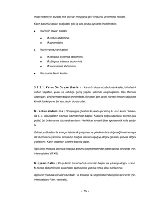 ması nedeniyle, burada fıtık olayları meydana gelir (inguinal ve femoral fıtıklar).

Karın bölümü kasları aşağıdaki gibi üç ana gruba ayrılarak incelenebilir.

■      Karın ön duvarı kasları

       ■    M.rectus abdominis
       ■    M.pyramidalis

■      Karın yan duvarı kasları

       ■    M.obliguus externus abdominis
       ■    M.obliguus internus abdominis
       ■    M.transversus abdominis

■      Karın arka tarafı kasları




3.1.2.1. Kar ın Ön Duvarı Kaslar ı : Karın ön duvarında bulunan kaslar, birbirlerini
üstten kapatan, yassı ve oldukça geniş yapılar şeklinde oluşmuşlardır. Kas liflerinin
uzanışları, birbirlerinden değişik yönlerdedir. Böylece, çok çeşitli hareket imkanı sağlayan
kinetik fonksiyonel bir kas zinciri oluştururlar.


M.rectus abdominis : Orta çizgiye göre her iki yanda yer almış iki uzun kastır. Yukarı-
da 5.-7. kaburgaların kıkırdak kısımlarından başlar. Aşağıya doğru uzanarak pelvisin (os
pubis) üst ön kenarına tutunarak sonlanır. Her iki kas kuvvetli birer aponevrotik kılıfa sahip-
tir.

Görevi; sırt kasları ile antegonist olarak çalışması ve gövdenin öne doğru eğilmesine veya
dik durmasına yardımcı olmasıdır. Göğüs kafesini aşağıya doğru çekerek, pelvise doğru
yaklaştırır. Karın organları üzerine basınç yapar.

İlgili siniri; medulla sipinalis'in göğüs bölümü segmentlerinden gelen spinal sinirlerdir (Nn.
intercostales VII-XII).


M.pyramidalis : Os pubis'in üst-orta-ön kısmından başlar ve yukarıya doğru uzanır.
M.rectus abdominis'ler arasındaki aponevrotik yapıda (linea alba) sonlanırlar.

İlgili sinir; medulla spinalis'in lumbal 1. ve thoracal 12. segmentlerinden gelen sinirlerdir (Nn.
intercostales-Ram. ventralis).



                                             - 75 -
 