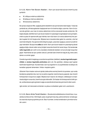 3.1.2.2. Kar ın Yan Duvarı Kaslar ı : Karın yan duvarında bulunan önemli üç kas
şunlardır.

■     M. obliquus externus abdominis
■     M.obliquus internus abdominis
■     M.transversus abdominis

Bu üç kası oluşturan lifler, aşağıda pelvis iskeletinin üst-yan kenarlarından başlar. Yukarıda
yanlarda ise, alt kaburgalardan başlayarak karın ön tarafına doğru uzanırlar. Karın ön du-
varında görülen uzun kas (m.rectus abdominis) kılıfına tutunarak burada sonlanırlar. Bir
başka deyişle, belirtilen karın yan duvarı kaslarının yassılaşan ve genişleyen sonuç kirişleri,
ortak ve yassı bir apenevrotik yapı halinde, karın düz kasını (m.rectus abdominis) her yan-
dan kuşatan bir kılıf oluştururlar. Böylece karın duvarlarından gelen bu uzantılar, orta hat
üzerinde birleşirler. Bu aponevrotik birleşme çizgisi, yukarıdan aşağıya uzanan kuvvetli bir
yapı halindedir. Buraya linea alba adı verilir. Karın yan duvarı kaslarının yassılaşmış olarak
aşağıya doğru devam eden sonuç kirişleri arasında önemli bir kanal oluşur. Bu kanala ca-
nalis inguinalis adı verilir ve bu kanaldan erkeklerde testisler ve bununla ilgili oluşumlar
geçer. Kadınlarda ise aynı yerden uterus'u yerinde tutan önemli bir bağ ile (lig. teres uteri)
damar ve sinirler geçer.

Canalis inguinalis'in başlangıç ve sonlanma açıklıkları (delikleri), anulus inguinalis super-
cifialis ve anulus inguinalis profundus adını alır. Bu açıklıklar, oldukça zayıf yapılar
tarafından kapatılmıştır. Bu bakımdan, karın içi organlarının, bu açıklıklardan ve dolayısı ile
kanaldan geçerek ilerlemeleri, fıtıkları meydana getirir.

Görevleri: Karın kasları solunum işinde (nefes alma-verme) önemli rol oynarken, aynı anda
beraberce çalıştıklarında, karın içi ve pelvis organları üzerine basınç yaparak, bazı önemli
fonksiyonların oluşumunu sağlar. Böylece karın basıncı ile miksiyon, defakasyon ve kadı-
nlarda doğum sırasında, önemli sonuçlar elde edilir. Sırt kasları ile fonksiyonel bir birlik için-
de, vertikal eksene göre gövdenin sağa ve sola döndürülmesinde çok önemli rolleri vardır.

ilgili sinirleri; alt intercostal sinirlerden ve plexus lumbalisten gelen sinir uzantılarıdır.




3.1.2.3. Kar ın Arka Taraf ı Kaslar ı : Burada sözü edilebilecek en önemli kas, m.qu-
adratus lumborum'dur. Dört köşeli, yassı ve geniş bir kas olup, pelvis üst kenarı ve kaburga-
lar arasında oluşmuş açıklıkta yer alır. Bazı huzmeler, lumbal vertebraların çıkıntılarına ka-
dar uzanır.



                                             - 76 -
 