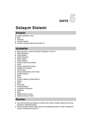 ÜNİTE          5
    Dolaşım Sistemi
    Amaçlar
Bu üniteyi çalıştıktan sonra,
■ Kalp,

■ Damarlar,

■ Limfoid organlar,

■ Endokrin organları öğrenmiş olacaksınız.




    İçindekiler
■    Kalp, Damarlar, Limfoid ve Endokrin Organların Tanıtımı
■    Kalbin Boşlukları
■    Kalp Kapakları
■    Kalbin Damarları
■    Kalbin örtüleri
■    Damar Sistemi
■    Dolaşım Sisteminde Arterler
■    Aorta
■    Dolaşım Sisteminde Venler
■    Akciğer Ven Dolaşımı
■    Vena Portae
■    Dolaşım Sisteminde Limfa Yolları
■    Limfoid Organlar
■    Dalak
■    Timus
■    Endokrin Bezler (İç Salgı Bezleri)
■    Hipofiz
■    Epifiz
■    Trioid Bezi
■    Paratiroid Bezler
■    Langerhans Adacıkları
■    Gonad'lar
■    Özet
■    Değerlendirme soruları
■    Sözlük ve Kavram Dizini

    Öneriler
■    Lise yıllarında görmüş olduğunuz anatomi ders notlarını gözden geçirmeniz konuyu
     anlamanızı kolaylaştıracaktır.
■    Ünite sonundaki soruları lütfen yardımsız cevaplamaya çalışınız. Eğer cevaplayamı-
     yorsanız üniteyi tekrar çalışınız.
 