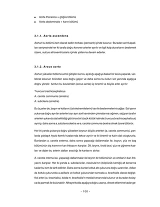 ■   Aorta thoracica = göğüs bölümü
■   Aorta abdominalis = karın bölümü




3.1.1. Aorta ascendens

Aortun bu bölümü tam olarak kalbin torbası (pericard) içinde bulunur. Buradan aort kapak-
ları seviyesinde her iki tarafa doğru koroner arterler ayrılır ve ilgili kalp duvarlarını beslemek
üzere, sulcus atrioventricularis içinde yollarına devam ederler.




3.1.2. Arcus aorta

Aortun yükselen bölümü az bir gidişten sonra, açıklığı aşağıya bakan bir kavis yaparak, ver-
tebral kolunun önünden sola doğru geçer ve daha sonra bu kolun sol yanında aşağıya
doğru yönelir. Aortun bu kavisinden (arcus aorta) üç önemli ve büyük arter ayrılır:

Truncus brachiocephalicus
A. carotis communis (sinistra)
A. subclavia (sinistra)

Bu üç arter de, başın ve kolların (üst ekstremitelerin) kan ile beslenmelerini sağlar. Sol yanın
yukarıya doğru ayrılan arterleri ayrı ayrı aort kavsinden çıkmalarına rağmen, sağ yan tarafın
arterleri yukarıda da belitildiği gibi önce bir büyük kütük halinde (truncus brachiocephalicus)
ayrılıp, daha sonra a.subclavia dextra ve a. carotis communis dextra olmak üzere bölünür.

Her iki yanda yukarıya doğru yükselen boynun büyük arterleri (a. carotis communis), yan-
larda yaklaşık hyoid kemik hizalarında tekrar ayrılır ve iki önemli ve kalın dalı oluştururla.
Bunlardan a. carotis externa, daha sonra yapacağı dallanmalar ile, boyun, yüz ve baş
bölümünün dış kısmının kan ihtiyacını karşılar. Dil, larynx, tiroid bezi, yüz ve çiğneme kas-
ları ve dişler bu arterin dalları aracılığı ile kanlarını alırlar.

A. carotis interna ise, yapacağı dallanmalar ile beynin bir bölümünün ve orbitanın kan ihti-
yacını karşılar. Her iki yanda a. subclavia'lar, clavicula'nın (köprücük kemiği) alt kenarına
kadar bu isim ile tarif edilirler. Daha sonra bunlar koltuk altı çukuruna doğru uzanırlar. Adları
da koltuk çukurunda a.axillaris ve koltuk çukurundan sonrada a. brachialis olarak değişir.
Kol arteri (a. brachialis), kolda m. brachialis'in medial kenarında bulunur ve buradan kolay-
ca da parmak ile bulunabilir. Nihayet kolda aşağıya doğru uzanıp, dirsek eklemine kadar ge-


                                              - 100 -
 