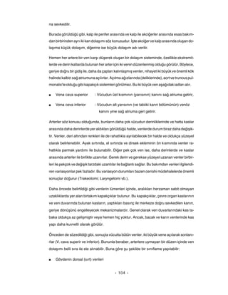 na sevkedilir.

Burada görüldüğü gibi, kalp ile perifer arasında ve kalp ile akciğerler arasında esas bakım-
dan birbirinden ayrı iki kan dolaşımı söz konusudur. İşte akciğer ve kalp arasında oluşan do-
laşıma küçük dolaşım, diğerine ise büyük dolaşım adı verilir.

Hemen her artere bir ven karşı düşerek oluşan bir dolaşım sisteminde, özellikle ekstremit-
lerde ve derin katlarda bulunan her arter için iki venin düzenlenmiş olduğu görülür. Böylece,
geriye doğru bir gidiş ile, daha da çapları kalınlaşmış venler, nihayet iki büyük ve önemli kök
halinde kalbin sağ atriumuna açılırlar. Açılma ağızlarında (deliklerinde), aort ve truncus pul-
monalis'te olduğu gibi kapakçık sistemleri görülmez. Bu iki büyük ven aşağıdaki adları alır.

■   Vena cava superior        : Vücudun üst kısmının (yarısının) kanını sağ atriuma getirir,

■   Vena ceva inferior        : Vücudun alt yarısının (ve tabiiki karın bölümünün) venöz
                                 kanını yine sağ atriuma geri getirir.

Arterler söz konusu olduğunda, bunların daha çok vücudun derinliklerinde ve hatta kaslar
arasında daha derinlerde yer aldıkları görüldüğü halde, venlerde durum biraz daha değişik-
tir. Venler, deri altından renkleri ile de rahatlıkla ayrılabilecek bir halde ve oldukça yüzeyel
olarak belirlenebilir. Ayak sırtında, el sırtında ve dirsek ekleminin ön kısmında venler ra-
hatlıkla parmak yardımı ile bulunabilir. Diğer pek çok ven ise, daha derinlerde ve kaslar
arasında arterler ile birlikte uzanırlar. Gerek derin ve gerekse yüzeyel uzanan venler birbir-
leri ile pekçok ve değişik tarzdaki uzantılar ile bağlantı sağlar. Bu bakımdan venleri ilgilendi-
ren variasyonlar pek fazladır. Bu variasyon durumları bazen cerrahi müdehalelerde önemli
sonuçlar doğurur (Trakeotomi; Laryngetomi vb.).

Daha öncede belirtildiği gibi venlerin lümenleri içinde, aralıkları herzaman sabit olmayan
uzaklıklarda yer alan birtakım kapakçıklar bulunur. Bu kapakçıklar, çevre organ kaslarının
ve ven duvarında bulunan kasların, yaptıkları basınç ile merkeze doğru sevkedilen kanın,
geriye dönüşünü engelleyecek mekanizmalardır. Genel olarak ven duvarlarındaki kas ta-
baka oldukça az gelişmiştir veya hemen hiç yoktur. Ancak, bacak ve karın venlerinde kas
yapı daha kuvvetli olarak görülür.

Önceden de sözedildiği gibi, sonuçta vücutta bütün venler, iki büyük vene açılarak sonlanı-
rlar (V. cava superir ve inferior). Bununla beraber, arterlere uymayan bir düzen içinde ven
dolaşımı belli sıra ile ele alınabilir. Buna göre şu şekilde bir sınıflama yapılabilir:

■   Gövdenin dorsal (sırt) venleri


                                            - 104 -
 