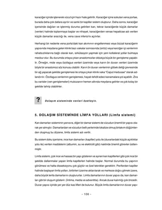 karaciğer içinde işlenerek vücut için hazır hale getirilir. Karaciğer içine sokulan vena portae,
burada daha çok dallara ayrılır ve sanki bir kapiller sistem oluşturur. Daha sonra, karaciğer
içerisinde dağılan ve işlenmiş duruma getirilen kan, tekrar karaciğerde küçük damarlar
(venler) halinde toplanmaya başlar ve nihayet, karaciğerden venae hepaticae adı verilen
küçük damarlar aracılığı ile, vena cava inferior'e açılırlar.

Herhangi bir nedenle vena porta'daki kan akımının engellenmesi veya bizzat karaciğerin
yapısında meydana gelen klinik bazı vakalar sonrasında (siröz) veya karciğer içi venlerinin
rahatsızlıklarına bağlı olarak kan, sirkülasyon yapmak için yeni kollateral yollar bulmaya
mecbur olur. Bu durumda ortaya çıkan anastomozlar oldukça büyük bir genişleme yapabi-
lir. Örneğin, mide veya özofagus venleri üzerinde veya karın ön duvarı venleri üzerinde
böyle bir anastomoz söz konusu olabilir. Karın ön duvarı venlerinin göbek deliği çevresinde
bir ağ yapacak şekilde genişlemesi ile ortaya çıkan klinik vaka "Caput medusae" olarak ad-
landırılır. Özofagus venlerinin genişlemesi, hayatı tehdit edeci kanamalara yol açabilir. Zira
bu varisler (ven genişlemeleri) mukozanın hemen altında meydana gelirler ve çok kolay bir
şekilde tahrip olabilirler.




 ?        Dolaşım sisteminde venleri özetleyin.




5. DOLAŞIM SİSTEMİNDE LİMFA YOLLARI (Limfa sistemi)

Kan damarları sisteminin yanısıra, diğer bir damar sistemi de vücudun önemli bir yapısı ola-
rak yer almıştır. Damarlardan ve vücudun belli yerlerinde lokalize olmuş birtakım düğümler-
den oluşmuş bu düzene, limfa sistemi adı verilir.

Bu sistem doku içerisine, ince kan damarları (kapiller) yolu ile (duvarlardaki küçük açıklıklar
yolu ile) verilen maddelerin (albumin, su ve elektrolit gibi) naklinde önemli görevler üstlen-
miştir.

Limfa sistemi, çok ince ve hassas bir yapı gösteren ve aynen kan kapillerleri gibi çok ince bir
şekilde dallanmalar yapan limfa kapillerleri halinde başlar. Normal durumda bu yapının
görülmesi ve hatta disseksiyonu çok güçtür ve özel teknikler gerektirir. Periferden kapiller
halinde başlayan limfa yolları, birbirleri üzerine aktarılarak ve merkeze doğru gitmek üzere,
daha büyük lenfa damarlarını oluştururlar. Limfa damarlarının duvar yapısı da, kan damar-
ları gibi bir oluşum gösterir. (İntima, media ve adventitia). Ancak duvar kalınlığı çok öncedir.
Duvar yapısı içinde yer yer düz kas lifleri de bulunur. Büyük limfa damarlarının duvar yapı-


                                           - 106 -
 