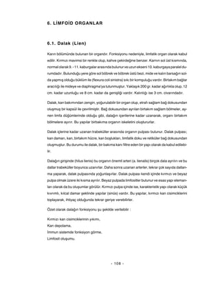 6. LİMFOİD ORGANLAR



6.1. Dalak (Lien)

Karın bölümünde bulunan bir organdır. Fonksiyonu nedeniyle, limfatik organ olarak kabul
edilir. Kırmızı mavimsi bir renkte olup, kahve çekirdeğine benzer. Karnın sol üst kısmında,
normal olarak 9. - 11. kaburgalar arasında bulunur ve uzun ekseni 10. kaburgaya paralel du-
rumdadır. Bulunduğu yere göre sol böbrek ve böbrek üstü bezi, mide ve kalın barsağın sol-
da yapmış olduğu büklüm ile (flexura coli sinistra) sıkı bir komşuluğu vardır. Birtakım bağlar
aracılığı ile mideye ve diaphragma'ya tutunmuştur. Yaklaşık 200 gr. kadar ağırlıkla olup, 12
cm. kadar uzunluğu ve 8 cm. kadar da genişliği vardır. Kalınlığı ise 3 cm. civarındadır.

Dalak, kan bakımından zengin, yoğurulabilir bir organ olup, etrafı sağlam bağ dokusundan
oluşmuş bir kapsül ile çevrilmiştir. Bağ dokusundan ayrılan birtakım sağlam bölmeler, ay-
nen limfa düğümlerinde olduğu gibi, dalağın içerilerine kadar uzanarak, organı birtakım
bölmelere ayırır. Bu yapılar birbakıma organın iskeletini oluştururlar.

Dalak içlerine kadar uzanan trabeküller arasında organın pulpası bulunur. Dalak pulpası;
kan damarı, kan, birtakım hücre, kan boşlukları, limfatik doku ve retiküler bağ dokusundan
oluşmuştur. Bu durumu ile dalak, bir bakıma kanı filtre eden bir yapı olarak da kabul edilebi-
lir.

Dalağın girişinde (hilus lienis) bu organın önemli arteri (a. lienalis) birçok dala ayrılırı ve bu
dallar trabeküller boyunca uzanırlar. Daha sonra uzanan arterler, tekrar çok sayıda dallan-
ma yaparak, dalak pulpasında yoğunlaşırlar. Dalak pulpası kendi içinde kırmızı ve beyaz
pulpa olmak üzere iki kısma ayrılır. Beyaz pulpada limfositler bulunur ve esas yapı eleman-
ları olarak da bu oluşumlar görülür. Kırmızı pulpa içinde ise, karakteristik yapı olarak küçük
kıvrımlı, kılcal damar şeklinde yapılar (sinüs) vardır. Bu yapılar, kırmızı kan cisimciklerini
toplayarak, ihtiyaç olduğunda tekrar geriye verebilirler.

Özet olarak dalağın fonksiyonu şu şekilde verilebilir :

Kırmızı kan cisimciklerinin yıkımı,
Kan depolama,
İmmun sistemde fonksiyon görme,
Limfosit oluşumu.




                                            - 108 -
 