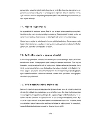 paraganglion adı verilen küçük yapılı oluşumlar da vardır. Bu oluşumlar, bazı damar ve or-
ganların çevresinde yer bulurlar ve yine salgılarını doğrudan dolaşım sistemine verirler.
Aynı zamanda endokrin faaliyet de gösteren timus hakkında, limfoid organlar bahsinde ge-
rekli bilgiler verilmişti.




7.1. Hipofiz (hypophysis)

Bu organ küçük bir fasulyeye benzer. İnce bir sap ile beyin tabanına asılmış durumdadır.
Genişlemiş olan kısmı, cranium'un tabanını oluşturan Os sphenoidale'nin sella turcica adı
verilen kısmına oturur. Adenohipofiz ve Nörohipofiz adı verilen iki kısımdan oluşur.

Hipofiz hormonu diğer iç salgı bezlerini kontrol edici bir özellik taşır. Bunun yanısıra; düz
kasların kontraksiyonları, vücuttaki sıvı dengesinin regülasyonu, üreme bezlerinin fonksi-
yonları gibi, faaliyetler üzerinde etkili bir bezdir.




7.2. Epifiz (Epiphysis = corpus pineale)

Çam kozalağı şeklindedir. İsmi de bu bakımdan "Epifiz" olarak verilmiştir. Beyin kökünün ar-
ka tarafından yer alır. Biraraya gelmiş epitel (pineal) hücrelerden oluşmuştur. Üzeri bağ do-
kusundan meydana gelmiş bir örtü ile kaplanmıştır. Yaşlanma ile artan bir şekilde, bezin
içinde kum tanecikleri ortaya çıkar. Bunlara beyin kumu (acervulus) adı verilir. Bu bezin hor-
monu (salgısı) çocuklarda cinsiyet hormonlarının oluşumunda frenleyici bir etki gösterir.
Epifiz'in etkisinin ortadan kalkması durumunda, özellikle erkek çocuklarda cinsel gelişme-
nin hızlandığı görülmüştür.




7.3. Tiroid bezi (Glandula thyroidea)

Boynun ön tarafında ve tiroid kıkırdağın her iki yanında yer almış iki büyük lob şeklinde
görünür. Bu iki büyük lob, ortada bir ara parça ile bağlanmıştır. Bez dıştan, bağ dokusundan
meydana gelmiş iki kapsül ile kuşatılmıştır. Dış kapsül daha gevşek bir halde bulunur ve ko-
laylıkla dokudan ayrılabilir. İki kapsül arasında ve arka yüzde paratiroid bezler yer alır. Ayr-
ıca bu iki kapsül arasında beze gelen önemli damar ve sinirler de bulunur. Büyüklük olarak
normalde bez, boyun ön kısmından görülmez ve hatta el ile yoklandığında da hissedilmiz.
Ancak bir bez rahatsızlığı durumunda bu durumun dışına çıkılır.



                                             - 110 -
 