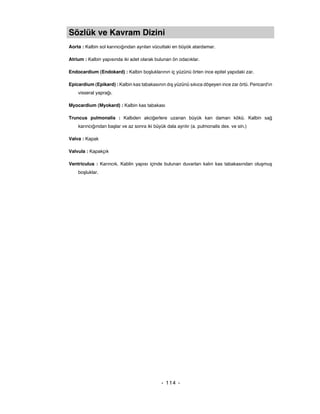 Sözlük ve Kavram Dizini
Aorta : Kalbin sol karıncığından ayrılan vücuttaki en büyük atardamar.

Atrium : Kalbin yapısında iki adet olarak bulunan ön odacıklar.

Endocardium (Endokard) : Kalbin boşluklarının iç yüzünü örten ince epitel yapıdaki zar.

Epicardium (Epikard) : Kalbin kas tabakasının dış yüzünü sıkıca döşeyen ince zar örtü. Pericard'ın
    visseral yaprağı.

Myocardium (Myokard) : Kalbin kas tabakası

Truncus pulmonalis : Kalbden akciğerlere uzanan büyük kan damarı kökü. Kalbin sağ
    karıncığından başlar ve az sonra iki büyük dala ayrılır (a. pulmonalis dex. ve sin.)

Valva : Kapak

Valvula : Kapakçık

Ventriculus : Karıncık. Kablin yapısı içinde bulunan duvarları kalın kas tabakasından oluşmuş
    boşluklar.




                                             - 114 -
 