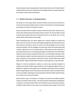 sistem ile dolaşım sistemini içiçe getirmiştir. Klasik inceleme bakımından "Endokrin Sistem"
müstakil olarak ele alınırsa da, burada konunun bütünlüğü açısından, endokrin bezleri (sis-
temi) dolaşım sistemi içinde incelenecektir.




1.1. Kalbin Durumu ve Komşulukları

Kan dolaşımının motor organı kalptir. İçi birtakım bölmeler ile ayrılmış ve bu bölmeler ara-
sında önemli fonksiyonel kapaklar içeren ve sanki bir emme-basma tulumba gibi çalışan,
esas itibariyle kas yapıda, içi boşluklu bir yapıdır.

Kalp normal olarak birbirleri ile ilişkileri olmayan iki esas kısma ayrılmıştır. Kendine ait, kuv-
vetli bir yapı halinde oluşmuş torba (kese) içinde yer almıştır. Bu torba ile kalbin dış yüzü
arasında oluşan kapiller aralık (cavum pericardii) seröz bir sıvı ile doludur. Bu sıvı, torba
içindeki kalbin rahat hareketine imkan sağlar.

Dıştan bakıldığında kalp, uzun ekseni sağdan sola, yukarıdan aşağıya ve arkadan öne
doğru uzanan bir durumda ve thorax içinde (göğüs boşluğunda) orta hatta göre daha çok
sola kaymış bir durumda yer almıştır. Bu durumu ile daha çok göğüs ön duvarına yakın
komşuluk halindedir. 2/3 kısmı da göğsün sol tarafında yer almıştır. Buna göre tepesi solda
ve tabanı sağda bulunan bir huni şeklinde görülür. Kalbin tabanında sekiz adet giren ve
çıkan büyük damarlar yer alır. Orta çizgiye göre göğsün sol tarafında yer alan kalbin tepesi,
ortalama bir tarif ile, beşinci interkostal aralıkta bulunur. Bu nokta diğer bir tarife göre; kadı-
nlarda köprücük kemiğinin (clavicula) ortasından dik inen çizgi üzerinde (medioclavicular
çizgi), erkeklerde ise meme çizgisinin üzerinde yer almıştır. Buradan kalbin tepe noktası
palpe edilebilir. Böylece klinikte kalbin fonksiyonu ile ilgili aydınlatıcı ip uçları elde edilir.

Göğsün ön kısmında (mediastinum anterior), yer bulan kalp, yanlardan akciğerler ile
kuşatılmış durumdadır. Böylece sadece küçük bir kısmı ile doğrudan göğüs ön duvarı ile
bağlantılıdır. Aşağıda ise, kalp; göğüs ve karın boşluklarını birbirinden ayıran kas yapıdaki
bölmenin (diaphragma) orta kısmında oluşmuş kuvvetli bölüm (centrum tendineum) üzeri-
ne oturmuş haldedir. Diaphragmanın kirişsi yapıdaki bu bölümüne kalbin sağ taraf boşluk-
larının büyük kısmı oturmuş durumdadır.

Kalbin duvarları; yapısı, innervasyonu ve fonksiyonu ile kendine has özellikler gösteren
"kalp kası" tarafından oluşturulmuştur. Yapı olarak çizgili kas (iskelet kasları) özelliği göste-
ren kalp kası, innervasyonu bakımından otonom sisteme ve ayrıca kendi özel uyarı sistemi-
ne bağlıdır. Kalbin duvarlarının (kas yapının) iç ve dış yüzleri parlak, kaygan ve ince bir örtü



                                              - 91 -
 