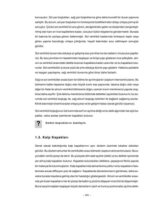 konusudur. Sol yan boşlukları, sağ yan boşluklarına göre daha kuvvetli bir duvar yapısına
sahiptir. Bu durum, sol yan boşluklarının fonksiyonel özelliklerinden dolayı ortaya çıkmış bir
sonuçtur. Çünkü sol ventrikül'ün ana görevi, akciğerlerden gelen ve oksijenden zenginleşti-
rilmiş olan kanı en ince kapillerlere kadar, vücudun bütün köşelerine göndermektir. Burada
bir bakıma bir pompa görevi üstlenmiştir. Sol ventrikül kaslarında fonksiyon kaybı veya
görev yapma bozukluğu ortaya çıktığında, hayati bakımdan arzu edilmeyen sonuçlar
görülür.

Sol ventrikül duvarında oldukça iyi gelişmiş kas çıkıntılarına da rastlanır (musculus papilla-
ris). Bu kas çıkıntılarının tepelerinden başlayan ve kirişsi yapı gösteren ince iplikçikler, atri-
um ve ventrikül arasındaki delikte bulunan kapaklara kadar uzanırlar ve bu kapaklara tutu-
nurlar. Sol ventrikülün iç duvar yüzü de yine oldukça düz bir yapı gösterir. Hatta bu parlaklık
ve kaygan yapılaşma, sağ ventrikül duvarına göre biraz daha fazladır.

Sağ ve sol ventriküller arada kalın bir bölme ile ayrılmışlardır (septum interventriculare). Bu
bölmenin kalbin tepesine doğru olan büyük kısmı kas yapısında, tabana doğru olan veya
diğer bir ifade ile atrium-ventrikül bölmesine doğru uzanan kısım membranoz yapıda olup,
biraz daha zayıftır. Çok defa bu membranoz bölümde defektler (açıklıklar) bulunur ki, bu du-
rumda sol ventrikül boşluğu ile, sağ atrium boşluğu birbirleri ile bağlantı sağlamış olurlar.
Klinik bakımdan önemli arazlar ortaya çıkar ve bir gelişim hatası olarak görülür (siyanoz).

Sol ventrikül boşluğunun üst kısmında aort'un açılma deliği ve bu delik ağzından ise üçlü ka-
paklar, valva aortae (semiluner kapaklar) bulunur.


 ?         Kalbin boşluklarını özetleyin.




1.3. Kalp Kapakları

Genel olarak bakıldığında kalp kapaklarının aynı düzlem üzerinde lokalize oldukları
görülür. Bu düzlem atriumlar ile ventriküller arası bölmedir (septum atrioventriculare). Bura-
ya kalbin ventil yüzeyi de denir. Bu yüzeyde dört adet açıklık (delik) ve bu delikler içerisinde
yer almış kalp kapakları bulunur. Kapaklar bulundukları deliklere, çepeçevre fibröz yapıda
bir materyal ile tutunmuşlardır. Kalp kapaklarında damarlanma yoktur ve bu kapakların bes-
lenmesi ancak diffüzyon yolu ile sağlanır. Kapaklarda damarlanmanın görülmesi, daha ev-
velce burada meydana gelmiş olan bir hastalığın göstergesidir. Atrium ve ventriküller arası-
nda yer bulan kapakların her iki yüzeyi de kalbin iç yüzünü döşeyen ince örtü ile döşenmiştir.
Buna karşılık kalpten başlayan büyük damarların (aort ve truncus pulmonalis) açılma delik-


                                             - 94 -
 
