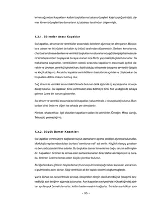 lerinin ağzındaki kapakların kalbin boşluklarına bakan yüzeyleri kalp boşluğu örtüsü, da-
mar lümeni yüzeyleri ise damarların iç tabakası tarafından döşenmiştir.




1.3.1. Bölmeler Aras ı Kapaklar

Bu kapaklar, atriumlar ile ventriküller arasındaki deliklerin ağzında yer almışlardır. Boşluk-
lara bakan her iki yüzleri de kalbin iç örtüsü tarafından döşenmiştir. Serbest kenarlarına,
chordae tendineae denilen ve ventrikül boşluklarının duvarlarında görülen papilla muscula-
ris'lerin tepesinden başlayarak buraya uzanan ince fibröz yapıdaki iplikçikler tutunurlar. Bu
mekanizma sayesinde, ventriküllerin sistolü sırasında kapakların arasındaki açıklık da-
raltılır ve böylece, ventrikül içindeki kan, ilişkili olduğu istikamete dolaşıma sevkedilir (büyük
ve küçük dolaşım). Ancak bu kapaklar ventriküllerin diastolünde açılırlar ve böylece kan bu
boşluklara dolma imkanı bulmuş olur.

Sağ atrium ile ventrikül arasındaki bölmede bulunan delik ağzında üç kapak (valva tricuspi-
dalis) bulunur. Bu kapaklar, birisi ventriküller arası bölmeye birisi öne ve diğeri de arkaya
gelmek üzere bir konum gösterirler.

Sol atrium ve ventrikül arasında ise ikili kapaklar (valva mitralis = bicuspidalis) bulunur. Bun-
lardan birisi önde ve diğeri ise arkada yer almışlardır.

Klinikte rahatsızlıklar, ilgili oldukları kapakların adları ile belirtilirler. Örneğin; Mitral darlığı,
Trikuspid yetmezliği vb.




1.3.2. Büyük Damar Kapaklar ı

Bu kapaklar ventriküllere bağlanan büyük damarların açılma delikleri ağzında bulunurlar.
Morfolojik yapılarından dolayı bunlara "semilunar valf" adı verilir. Küçük kırlangıç yuvaları-
na benzer boşluklar ihtiva ederler. Bu boşluklar damar lümenlerine doğru tanzim edilmişler-
dir. Kapakların birbirleri ile temas eden serbest kenarları biraz daha kalınlaşmıştır ve bura-
da, birbirleri üzerine temas eden küçük çıkıntılar bulunur.

Akciğerlere kanı götüren büyük damar (truncus pulmonalis) ağzındaki kapaklar, valva trun-
ci pulmonalis adını alırlar. Sağ ventriküle ait bir kapak sistemi oluşturmuşlardır.

Valva aortae ise, sol ventriküle ait olup, oksijenden zengin olan kanın büyük dolaşıma sev-
kedildiği aort deliğinin ağzında bulunurlar. Aort kapakları seviyesinde (yüksekliğinde) aort-
tan ayrılan çok önmeli damarlar, kalbin beslenmesinini sağlarlar. Buradan ayrıldıktan son-

                                               - 95 -
 