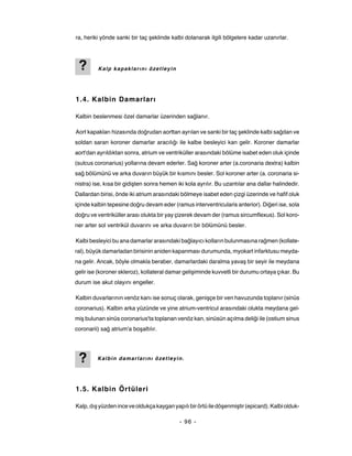 ra, heriki yönde sanki bir taç şeklinde kalbi dolanarak ilgili bölgelere kadar uzanırlar.




 ?       Kalp kapaklarını özetleyin




1.4. Kalbin Damarları

Kalbin beslenmesi özel damarlar üzerinden sağlanır.

Aort kapakları hizasında doğrudan aorttan ayrılan ve sanki bir taç şeklinde kalbi sağdan ve
soldan saran koroner damarlar aracılığı ile kalbe besleyici kan gelir. Koroner damarlar
aort'dan ayrıldıktan sonra, atrium ve ventriküller arasındaki bölüme isabet eden oluk içinde
(sulcus coronarius) yollarına devam ederler. Sağ koroner arter (a.coronaria dextra) kalbin
sağ bölümünü ve arka duvarın büyük bir kısmını besler. Sol koroner arter (a. coronaria si-
nistra) ise, kısa bir gidişten sonra hemen iki kola ayrılır. Bu uzantılar ana dallar halindedir.
Dallardan birisi, önde iki atrium arasındaki bölmeye isabet eden çizgi üzerinde ve hafif oluk
içinde kalbin tepesine doğru devam eder (ramus interventricularis anterior). Diğeri ise, sola
doğru ve ventriküller arası olukta bir yay çizerek devam der (ramus sircumflexus). Sol koro-
ner arter sol ventrikül duvarını ve arka duvarın bir bölümünü besler.

Kalbi besleyici bu ana damarlar arasındaki bağlayıcı kolların bulunmasına rağmen (kollate-
ral), büyük damarladan birisinin aniden kapanması durumunda, myokart infarktusu meyda-
na gelir. Ancak, böyle olmakla beraber, damarlardaki daralma yavaş bir seyir ile meydana
gelir ise (koroner skleroz), kollateral damar gelişiminde kuvvetli bir durumu ortaya çıkar. Bu
durum ise akut olayını engeller.

Kalbin duvarlarının venöz kanı ise sonuç olarak, genişçe bir ven havuzunda toplanır (sinüs
coronarius). Kalbin arka yüzünde ve yine atrium-ventricul arasındaki olukta meydana gel-
miş bulunan sinüs coronarius'ta toplanan venöz kan, sinüsün açılma deliği ile (ostium sinus
coronarii) sağ atrium'a boşaltılır.




 ?       Kalbin damarlarını özetleyin.




1.5. Kalbin Örtüleri

Kalp, dış yüzden ince ve oldukça kaygan yapılı bir örtü ile döşenmiştir (epicard). Kalbi olduk-

                                            - 96 -
 