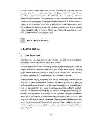ça sıkı bir şekilde dış yüzden döşeyen bu ince yapılı örtü, kalbe girip-çıkan büyük damarlar
kısmına geldiğinde ayrı bir yaprak oluşturur (parietal). Bu yaprak bu defa kalbi sanki bir tor-
ba gibi her yanından sararak kapatır. Bu durumda kalp kendini saran sağlam yapılı bu torba
içinde sanki asılı durumdadır. Torbaya Pericard adı verilir. Pericard aşağı kısımda, kalbin
üzerine oturarak yakın komşuluk yaptığı diaphragma ile oldukça sıkı bir birleşme yapmıştır.
Pericard ile epicard arasında, bütün seröz boşluklarda olduğu gibi, çok az miktarda seröz
sıvı ile doldurulmuş kapiller bir aralık vardır. Böylece, gerek bu sıvı ve gerekse kalbi üst
yüzden (dış yüzden) döşeyen ve saran örtülerin (epicard-pericard) kaygan yapıları saye-
sinde kalbin hareketleri kolayca meydana gelir.




 ?       Kalbin örtülerini özetleyin.




2. DAMAR SİSTEMİ


2.1. Kan Damarları

Kalbin tabanında sekiz büyük damarın, kalbe girdiği veya çıktığı görülür. Burada sözü edi-
len damarlar arter ve ven damarları olmak üzere ayrılırlar.

Arterlerde, kalpden kanın ritmik basınçları şeklinde ortaya çıkan kan dalgaları vardır. Bu
dalgalar parmakların yardımı ile, damar vuruşu (kan basıncı) olarak alınabilir. Vücudun
değişik yerlerinde kan basıncını almaya yarayan damar bölümleri vardır. Bütün arterler,
kanı kalpten organlara doğru sevkeden bir yol üzerinde fonksiyon görürler.

Venler ise, arterler aracılığı ile organlara kadar dağıtımı yapılmış ve burada fonksiyonunu
tamamlayarak, oksijenden fakirleşmiş olan kanın, tekrar kalbe getirilmesi işi ile görevlidir-
ler. Ancak burada belirtmek gerekir ki, bir damarın arter veya ven olarak isimlendirilmesin-
de, içinde taşımış oldukları kanın oksijenden fakir veya zengin olması bir ölçü olarak alı-
nmaz. Bu durumda sadece kanın taşındığı yön önemlidir. Buna güzel bir örnek akciğe da-
marlarıdır. Arteria pulmonalis'ler oksijenden fakir kan taşırlarken, vena pulmonalis'ler oksi-
jenden zengin kan transportu ile görevlidirler ve akciğerden gelen bu kanı sol atrium'a sev-
kederler. Böylece, arterler ve venler, içlerinde kanı nakleden, kapalı ve boru şeklinde bir sis-
tem meydana getirmiş olurlar. Arterler ile venler arasında, vücudun bazı yerlerinde, son de-
recede ince çaptaki damarlar (capiller) aracılığı ile anastomoz durumu da görülür. Buralar
geçiş bölgeleridir.



                                            - 97 -
 