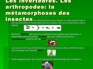 Les invertébrés. Les
arthropodes: la
métamorphoses des
insectes
   Les insectes subissent une métamorphoses pour passer au stade adulte.C’est-à-
    dire que les petits ne ressemblent pas aux adultes, bien qu’ils soient de la même
    espèce.



   Quand ils eclosent des oeufs, les mouches et les papillons (par exemple) ne
    ressemblent pas aux adultes. On dirait des vers. Cette phase de leur
    développement recoit le nom de larve.



   Les larves ne font que s’alimenter pour grandir. Ensuite, elles s’enferment dans
    une enveloppe qui s’appelle cocon.



   Après quelques jours, les cocons éclosent et l’animal adulte sort à l’exterieur.
 