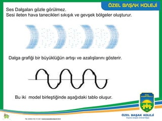 Ses Dalgaları gözle görülmez.
Sesi ileten hava tanecikleri sıkışık ve gevşek bölgeler oluşturur.
Dalga grafiği bir büyüklüğün artışı ve azalışlarını gösterir.
Bu iki model birleştiğinde aşağıdaki tablo oluşur.
 