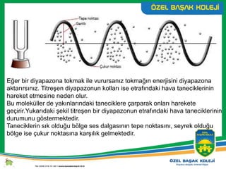 Eğer bir diyapazona tokmak ile vurursanız tokmağın enerjisini diyapazona
aktarırsınız. Titreşen diyapazonun kolları ise etrafındaki hava taneciklerinin
hareket etmesine neden olur.
Bu moleküller de yakınlarındaki taneciklere çarparak onları harekete
geçirir.Yukarıdaki şekil titreşen bir diyapazonun etrafındaki hava taneciklerinin
durumunu göstermektedir.
Taneciklerin sık olduğu bölge ses dalgasının tepe noktasını, seyrek olduğu
bölge ise çukur noktasına karşılık gelmektedir.
 