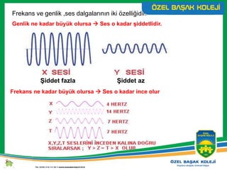 Frekans ve genlik ,ses dalgalarının iki özelliğidir.
Frekans ne kadar büyük olursa  Ses o kadar ince olur
Genlik ne kadar büyük olursa  Ses o kadar şiddetlidir.
Şiddet fazla Şiddet az
 