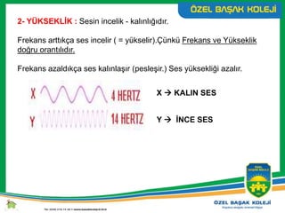 2- YÜKSEKLİK : Sesin incelik - kalınlığıdır.
Frekans arttıkça ses incelir ( = yükselir).Çünkü Frekans ve Yükseklik
doğru orantılıdır.
Frekans azaldıkça ses kalınlaşır (pesleşir.) Ses yüksekliği azalır.
X  KALIN SES
Y  İNCE SES
 