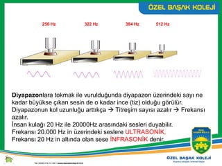 256 Hz 322 Hz 384 Hz 512 Hz
Diyapazonlara tokmak ile vurulduğunda diyapazon üzerindeki sayı ne
kadar büyükse çıkan sesin de o kadar ince (tiz) olduğu görülür.
Diyapazonun kol uzunluğu arttıkça  Titreşim sayısı azalır  Frekansı
azalır.
İnsan kulağı 20 Hz ile 20000Hz arasındaki sesleri duyabilir.
Frekansı 20.000 Hz in üzerindeki seslere ULTRASONİK,
Frekansı 20 Hz in altında olan sese İNFRASONİK denir.
 