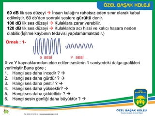 60 dB lik ses düzeyi  İnsan kulağını rahatsız eden sınır olarak kabul
edilmiştir. 60 db’den sonraki seslere gürültü denir.
100 dB lik ses düzeyi  Kulaklara zarar verebilir.
120 dB lik ses düzeyi  Kulaklarda acı hissi ve kalıcı hasara neden
olabilir.(İşitme kaybının tedavisi yapılamamaktadır.)
Örnek : 1-
X ve Y kaynaklarından elde edilen seslerin 1 saniyedeki dalga grafikleri
verilmiştir.Buna göre ;
1. Hangi ses daha incedir ? 
2. Hangi ses daha gürdür ? 
3. Hangi ses daha pestir ? 
4. Hangi ses daha yüksektir? 
5. Hangi ses daha şiddetlidir ? 
6. Hangi sesin genliği daha büyüktür ? 
 