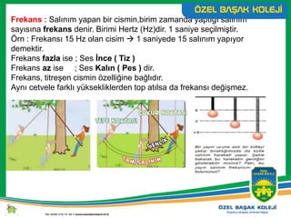 Frekans : Salınım yapan bir cismin,birim zamanda yaptığı salınım
sayısına frekans denir. Birimi Hertz (Hz)dir. 1 saniye seçilmiştir.
Örn : Frekansı 15 Hz olan cisim  1 saniyede 15 salınım yapıyor
demektir.
Frekans fazla ise ; Ses İnce ( Tiz )
Frekans az ise ; Ses Kalın ( Pes ) dir.
Frekans, titreşen cismin özelliğine bağlıdır.
Aynı cetvele farklı yüksekliklerden top atılsa da frekansı değişmez.
 