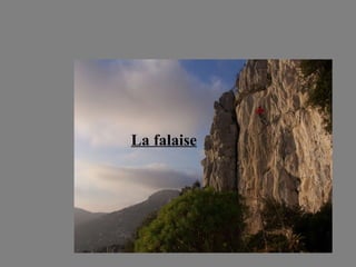 La falaise 