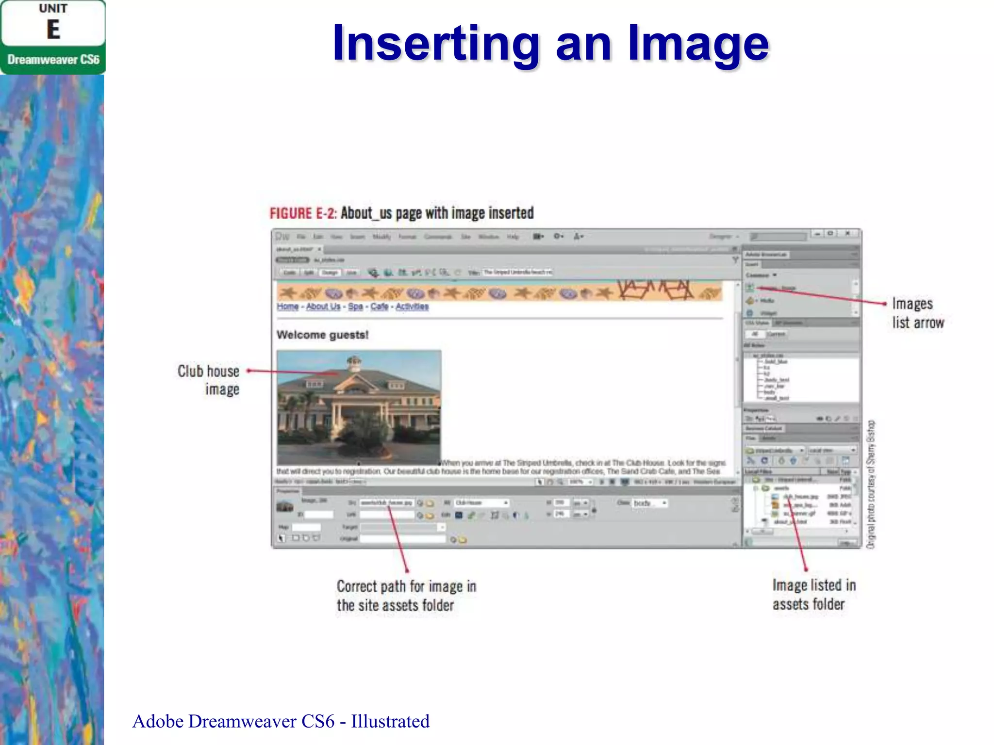 Inserting an Image

Adobe Dreamweaver CS6 - Illustrated

 