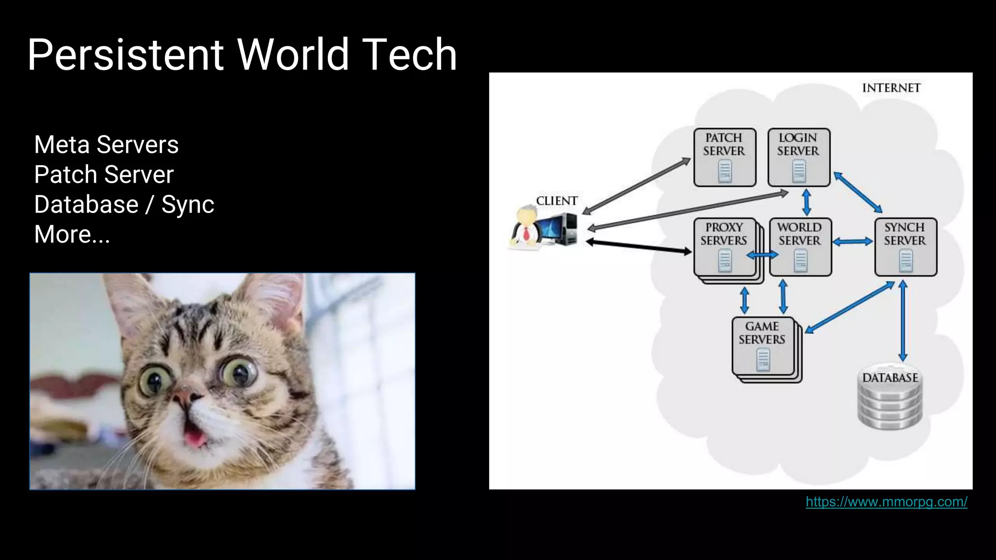 Meta Servers
Patch Server
Database / Sync
More...
Persistent World Tech
https://www.mmorpg.com/
 