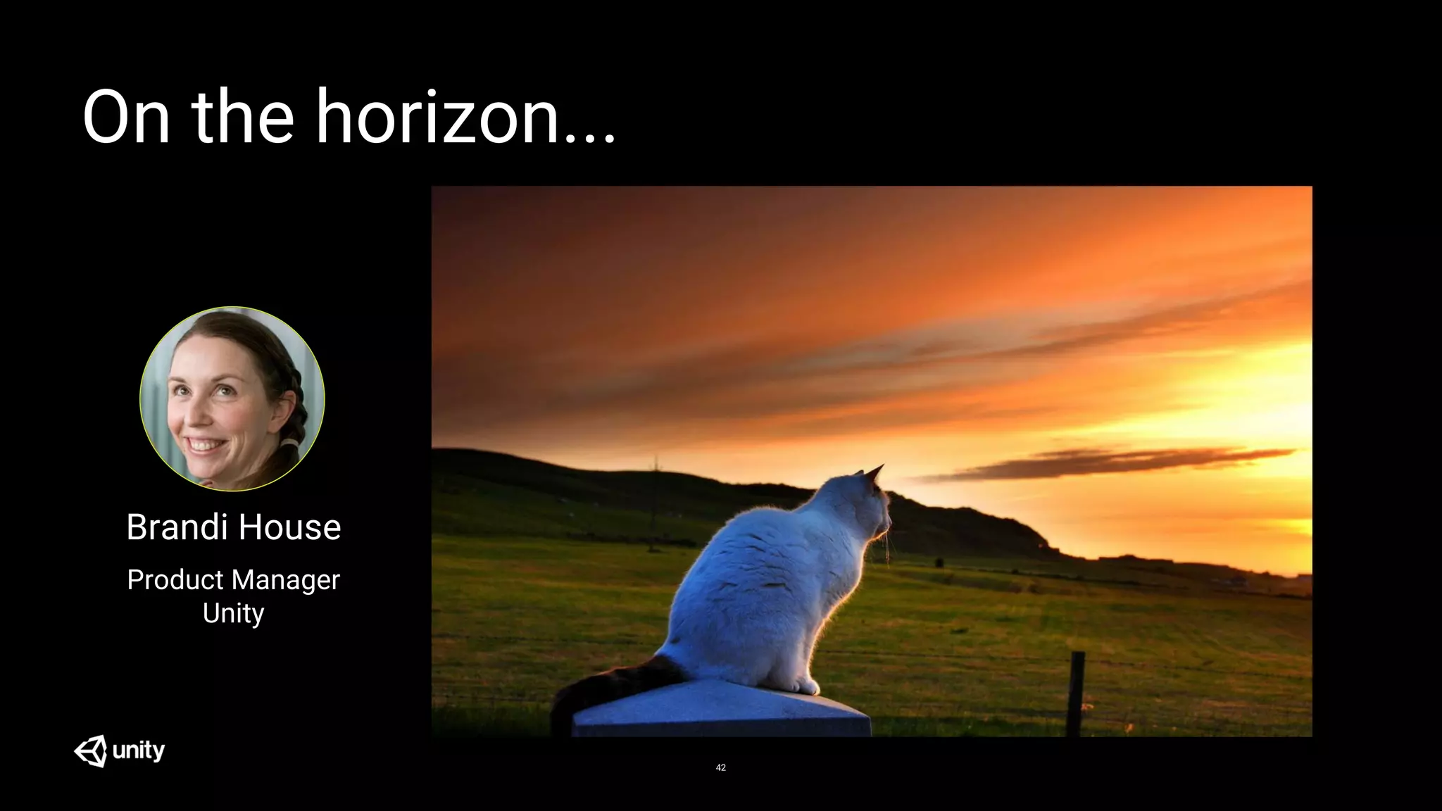 On the horizon...
42
Brandi House
Product Manager
Unity
 