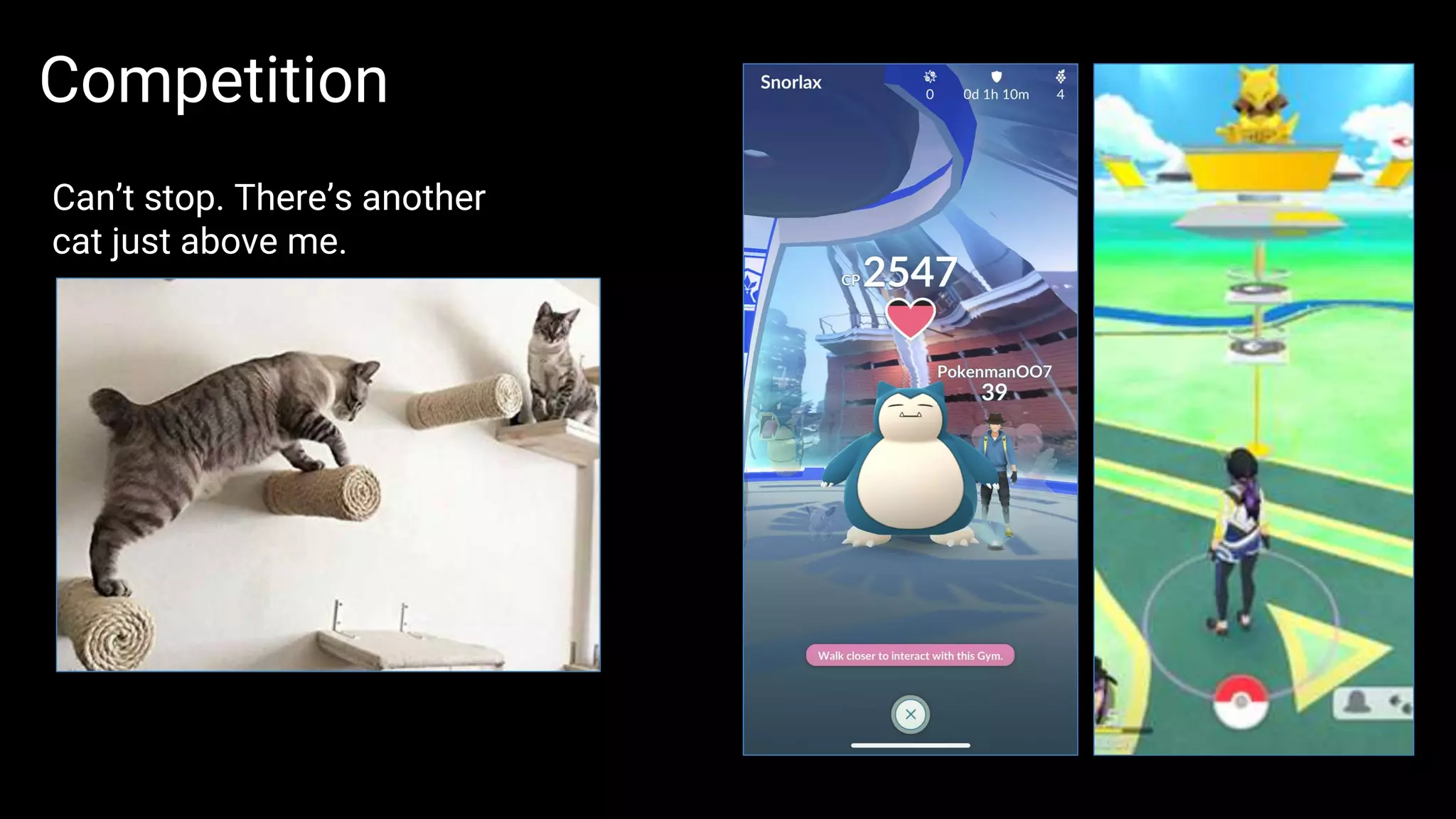 Can’t stop. There’s another
cat just above me.
Competition
 