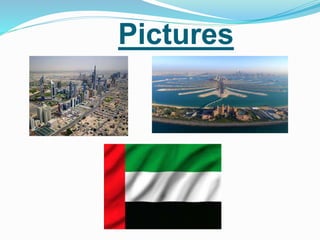 Pictures
 