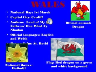 WALES
• National Day: 1st March
• Capital City: Cardiff
• Anthem: Land of My
Fathers/ Hen Wlad Fy
Nhadau
• Official languages: English
and Welsh
• Patron Saint: St. David

National flower:
Daffodil

Official animal:
Dragon

Flag: Red dragon on a green
and white background

 