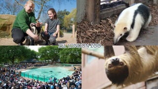 ZSL LONDON ZOO
 